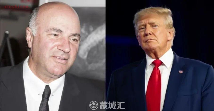 加拿大富商要和特朗普谈加美两国合并统一货币+护照! 被网友骂惨了!